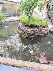 Horizon Gardens (D20), Terrace #628213451
